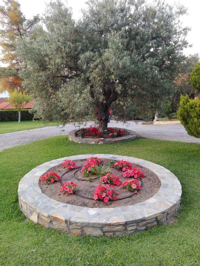 Elena Apartments & Studios Vourvourou Bagian luar foto